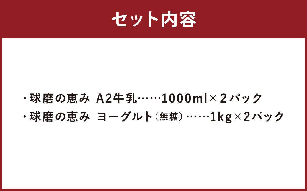 球磨の恵み 「A2牛乳とヨーグルト(無糖)」のセット 牛乳1000ml×2パック ヨーグルト1kg×2パック
