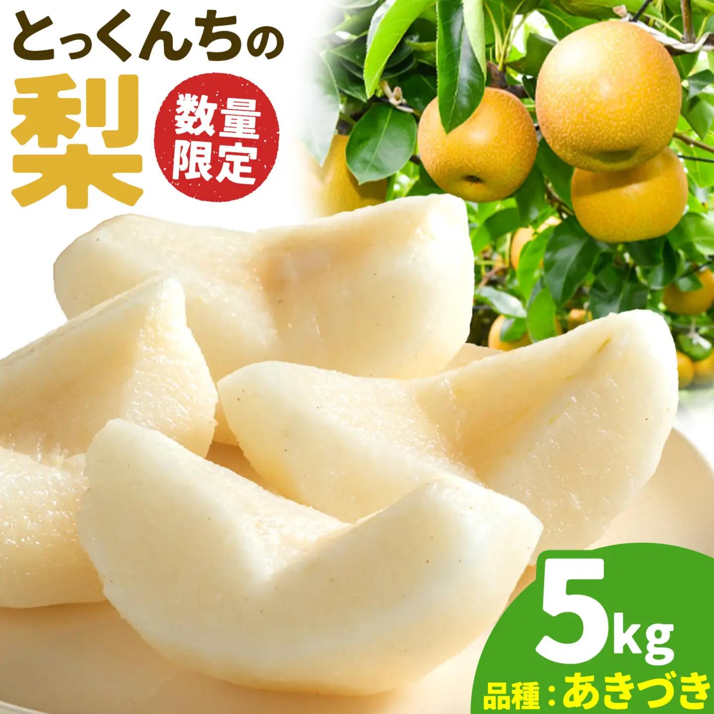 とっくんちのあきづき梨5kg 梨【配送不可地域あり】