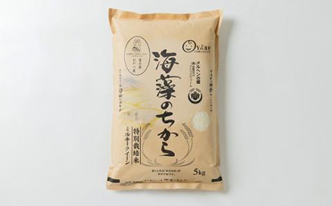 特別栽培米10kg(精米/ミルキークイーン・コシヒカリ　各5kg)