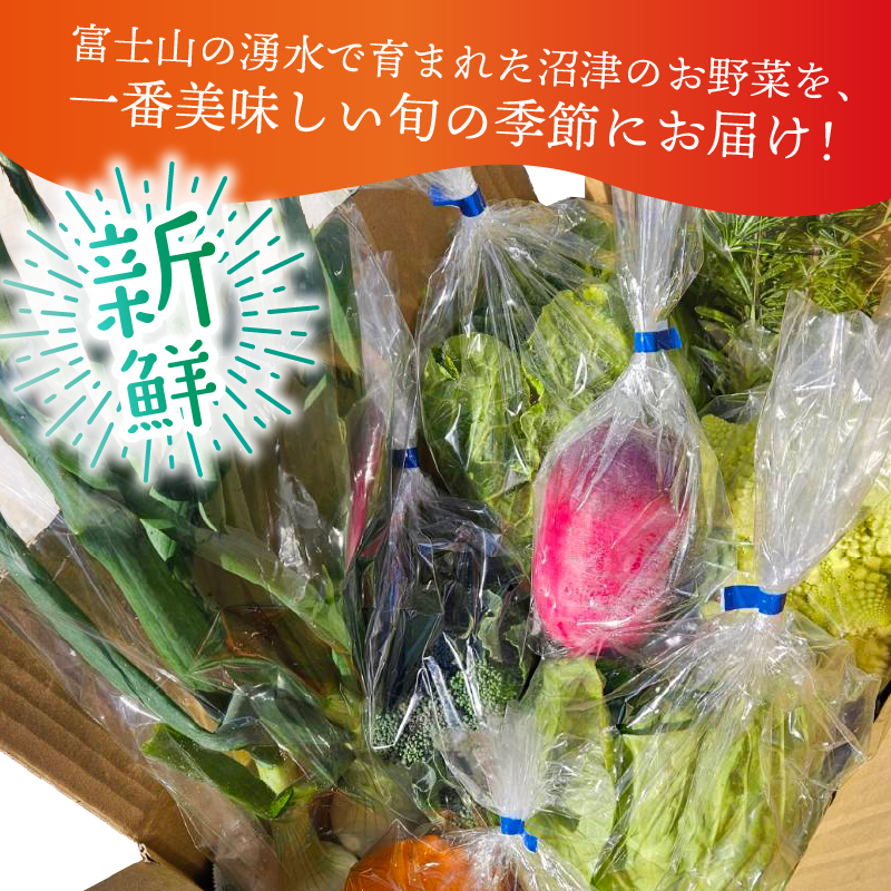 お野菜 4～5品 詰め合わせセット 富士山の湧水でつくる 四季の美味しい 旬 野菜