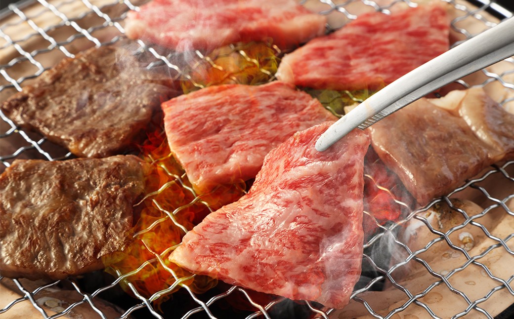 【全3回定期便】長崎和牛 焼肉用 ロース 約400g 和牛 国産 お肉 肉 牛肉 焼き肉 BBQ バーベキュー 冷凍 長崎