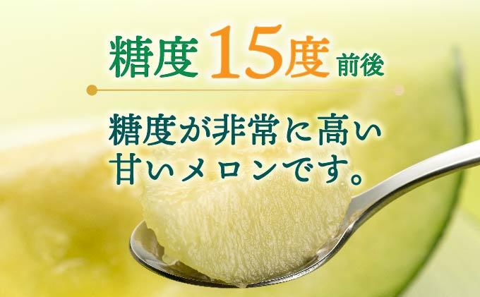 北海道産 有珠メロン 青肉 4～5玉 計約8kg ツル付き グリーンメロン 果物 めろん フルーツ くだもの 完熟 旬 ご褒美 ギフト お祝い 贈り物 お中元 産地直送 お取り寄せ 北海道 藤川農園 
