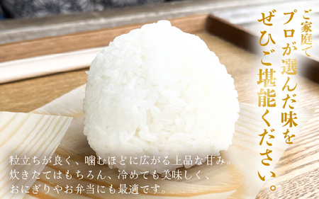 【先行予約】定期便 ≪6ヶ月連続お届け≫ 令和7年産 新米 いちほまれ 白米 10kg (5kg×2袋)【2025年11月上旬以降順次発送予定】精米 福井県 美浜町産  こめ コメ お米 おこめ 5キ