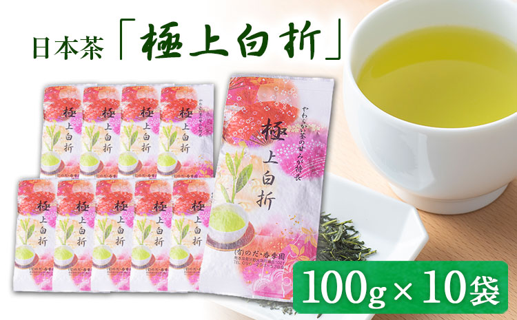 独特の甘み・日本茶「極上白折」【100g×10袋】 熊本県 大津町産 有限会社 のだ・香季園《60日以内に出荷予定(土日祝除く)》