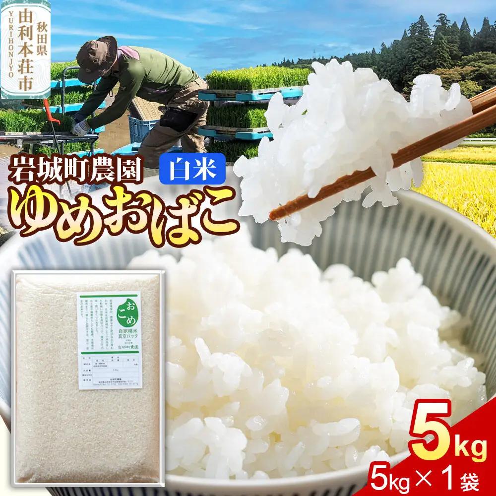 【白米】ゆめおばこ 秋田県産 岩城町農園のゆめおばこ 5kg（5kg×1袋）令和7年産 真空パック