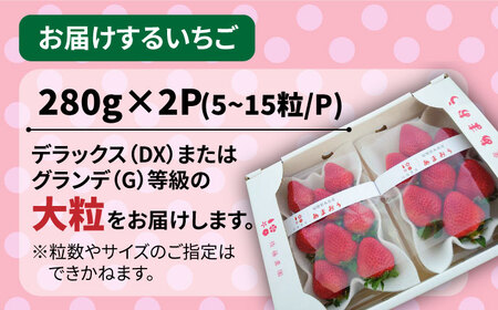 【農家直送！】糸島産あまおう 280g×2パック (DXおよびGサイズ) 糸島市 / 後藤農園[AML001]【2024年1月以降順次発送】