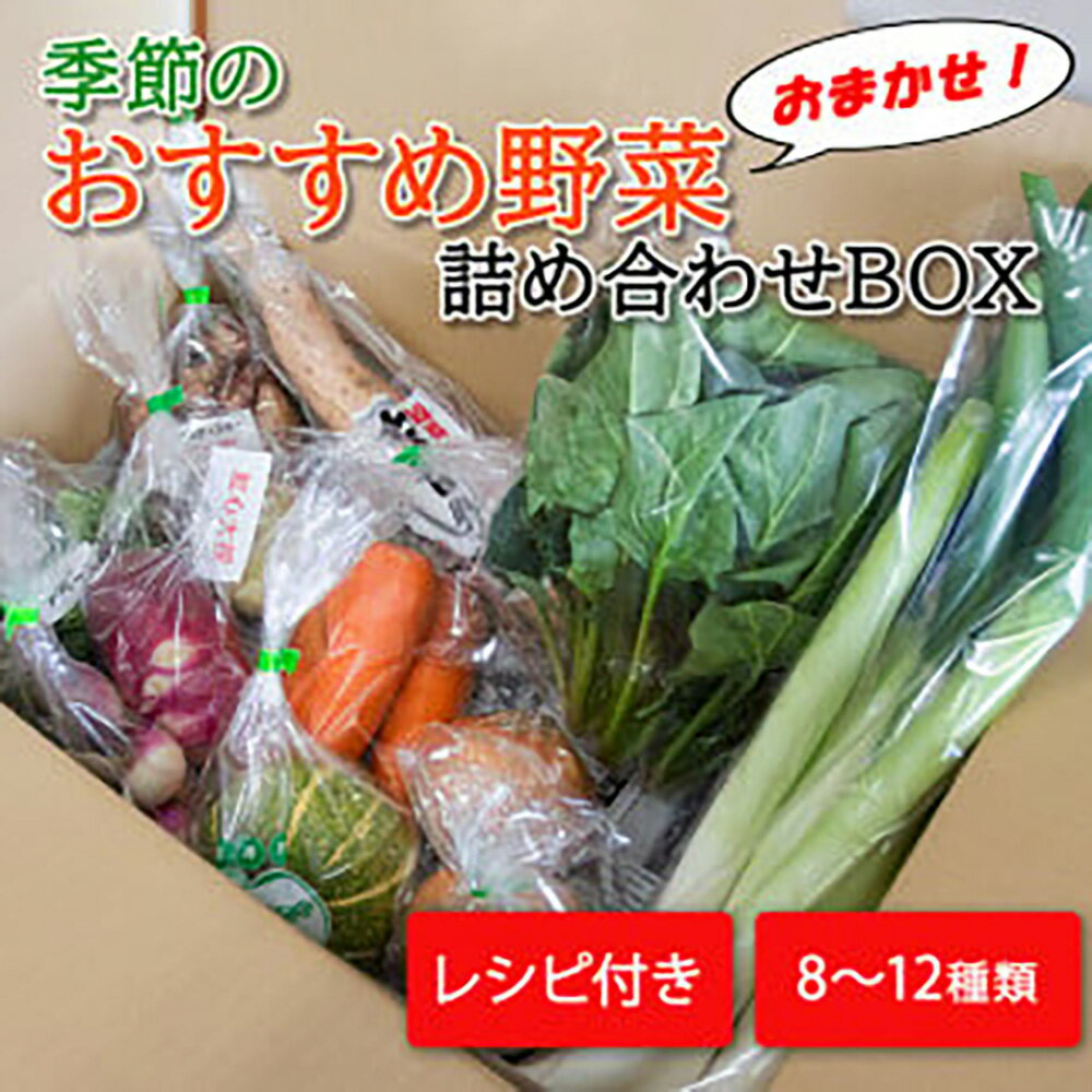 【ふるさと納税】季節のおすすめ野菜おまかせ詰め合わせBOX 8種～12種類 通常サイズ 野菜セット 送料無料｜野菜 1万円 まとめ買い おまかせ 詰め合わせ 直送 バーベキュー【16101】