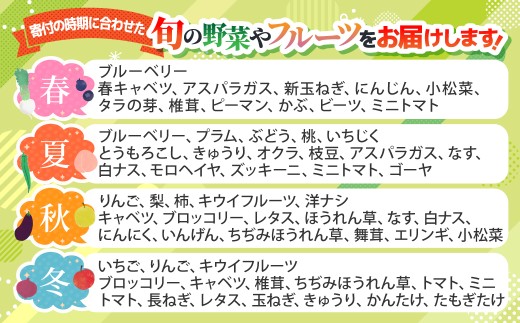 季節の旬の野菜 詰め合わせ 5~6品 | 野菜 朝採れ 旬野菜 群馬県産 産地直送 美味しい サラダ スープ 農家 新鮮野菜 道の駅 まえばし赤城 群馬県 前橋市