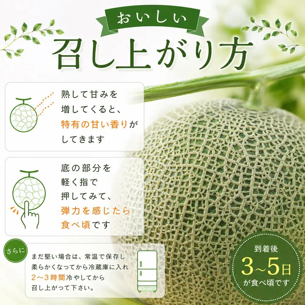 【令和9年産 先行予約】北海道メロン 赤肉品種（家庭用）1玉 2kg以上 高級メロン！ 果物 フルーツ ギフト 農家直送