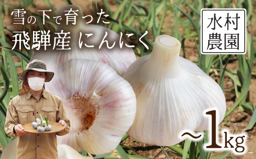 
                  ＜8月から寄附額改定＞《先行予約》飛騨産 にんにく 選べる内容量 300g 500g 1kg  ニンニク【7月中旬〜12月発送】水村農園 [Q3219] 
                