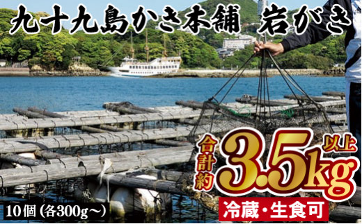 A175p 九十九島かき本舗岩がきC