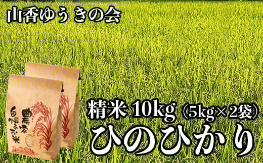 
            【 令和7年産 新米 先行予約 】山香ゆうきの会の米 10kg（精米：ひのひかり） 新米 10kg 米 先行予約 先行受付 ＜002-005＞
          