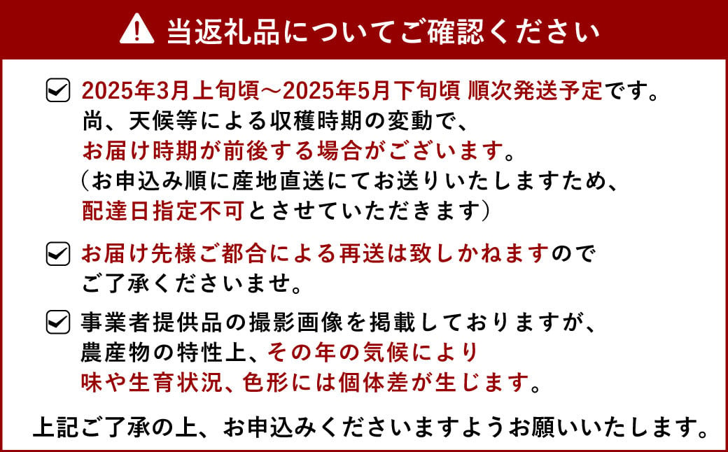 【先行予約】果実の宝箱 小玉デコ柑（不知火）約5kg【田辺農園】【2025年3月上旬から5月下旬発送予定】