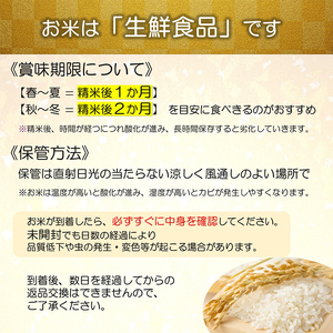 令和7年産 特別栽培米 雪若丸 (精米) 5kg 『最上園』 米 白米 ご飯 農家直送 山形県 南陽市 [1679]