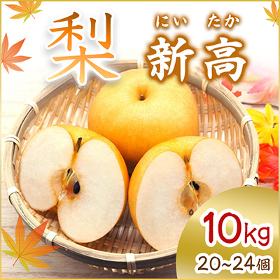 
            ＜2025年10月より順次発送予定＞新高　10kg　20～24個(県内共通返礼品:石岡市産) (BR013)
          