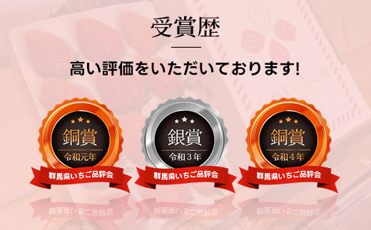 群馬県産いちご「やよいひめ」約800g×2箱　贈答用化粧箱入り ANV003