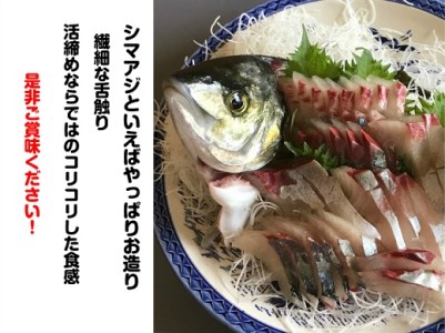 配送日指定可【新姫　熊野しまあじ】 3枚おろし 冷凍 水谷水産【mzsi0005-2】