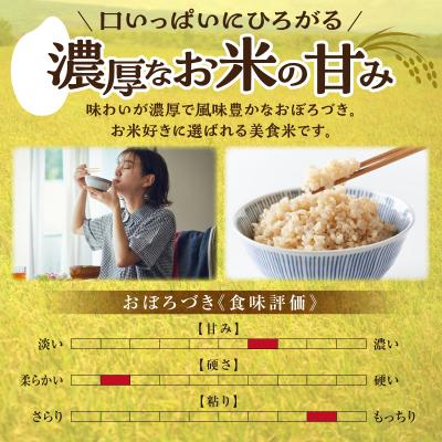 ふるさと納税 雨竜町 【定期便全4回】令和7年産 川越さんちの おぼろづき 玄米 5kg(5kg×1袋)毎月1回お届け |  | 01