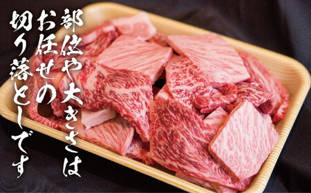 【2026年4月～7月発送】飛騨牛 訳あり 焼肉1kg 切りおとし | 牛肉 訳あり 丸明 LR008FAJ04-07