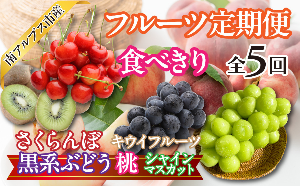 
            ★先行予約【食べきり】新鮮！旬のフルーツ5回定期便〈くだもの　フルーツ　さくらんぼ、桃、黒系ぶどう　ピオーネ　ブラックビート　ふじみのり　シャインマスカット　キウイフルーツ　新鮮　農家直送　産地直送　人気　山梨県　南アルプス市　〉 ALPAJ055　
          