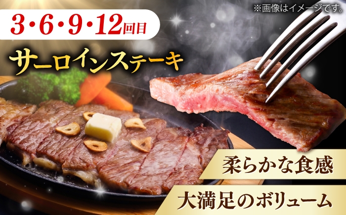 牛肉 定期便 シャトーブリアン サイコロステーキ サーロインステーキ