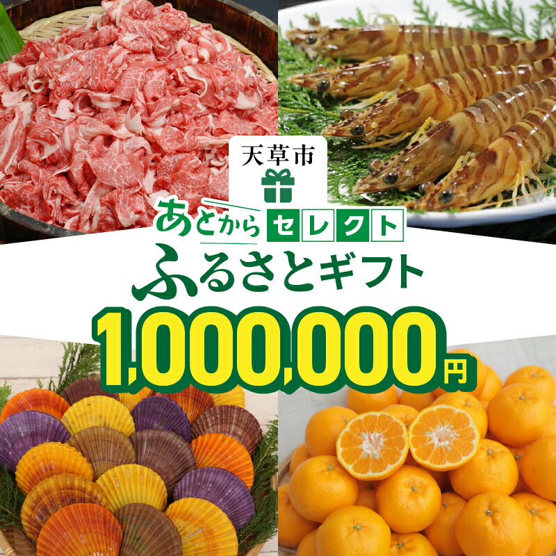 【ふるさと納税】あとからセレクト 100万円 【ふるさとギフト】 あとから選べる 肉 牛肉 黒毛和牛 定期便 魚 海鮮 ブリ 海老 車海老 干物 米 柑橘 ポンカン ふぐ 鶏肉 天草大王 パール アクセサリー あとから 選べる 天草市 熊本県