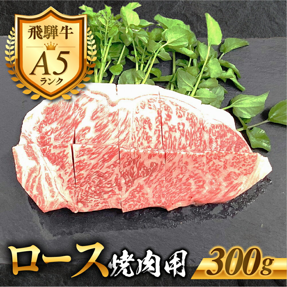 【ふるさと納税】［A5等級］飛騨牛 ロース 焼き肉用 300g 焼き肉 肉 牛肉 精肉 黒毛和牛 和牛 BBQ 飛騨牛 お肉 焼肉 BBQ 冷凍 明宝 明宝ハム 明宝物産物加工 16000円 [G0029]