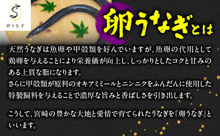 1642-1 九州産 卵うなぎ 備長炭手焼 『鯉家匠うなぎ』の蒲焼 2尾 計300g KN029-005-01 うなぎ ウナギ 鰻 うなぎ蒲焼 鰻蒲焼き ウナギ蒲焼 惣菜 総菜 魚類 魚貝類 魚介類 