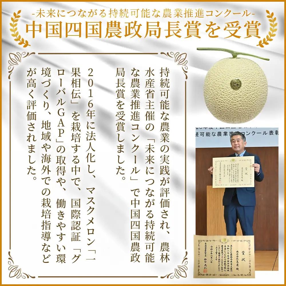 メロン 2玉入り【10月1日から7日以内に発送】 メロン tn-0065