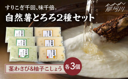 【11月上旬から発送】自然薯とろろ 茎わさびとろろ・柚子こしょうとろろ2種セット（各40g×3個）＜自然薯王国＞那珂川市 自然薯とろろ とろろ 自然薯  健康 とろろ 母の日 父の日 [GAH023]