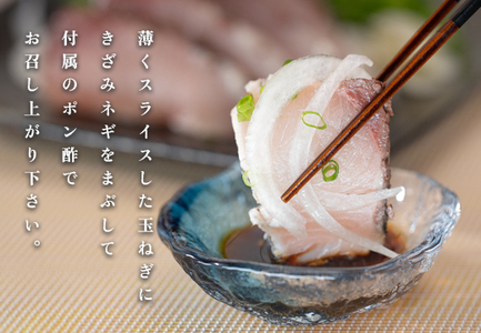 【数量限定】新鮮そのまま!金鰤の藁焼きたたき　400g以上