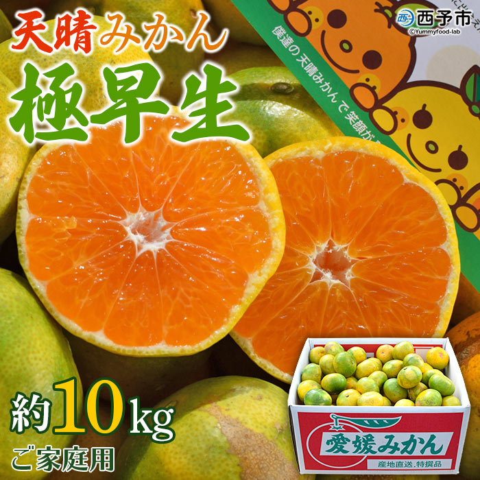 ＜天晴みかん 極早生 ご家庭用 約10kg＞ 柑橘 果物 フルーツ 期間限定 季節限定 特産品 温州みかん 家庭用 自宅用 ジャム サラダ 株式会社笑丸 愛媛県 西予市