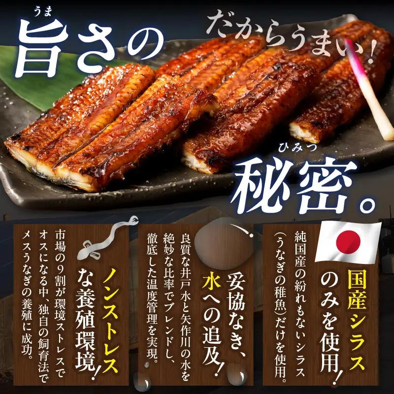 三河高浜産三代目養鰻家の白焼きうなぎ 特大3尾（525ｇ以上）_74-380