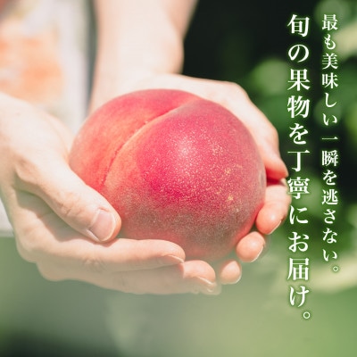 2027年(来年)発送先行受付約2kg 完熟桃とろける甘みYAMANASHI PRIDE 　5～8玉【配送不可地域：離島・北海道・沖縄県・中国・四国・九州】