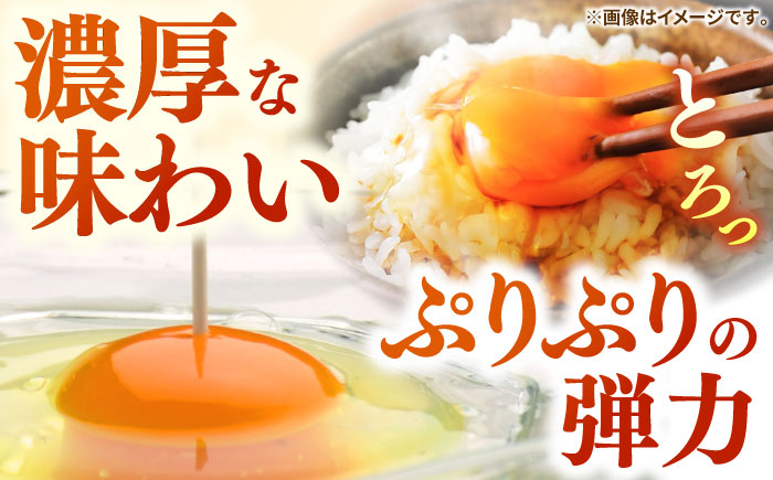 【全6回定期便】特選素直な恋たまご60個入り[JAP004] たまご 60個 鶏卵 玉子 大容量 国産 卵かけご飯 たまごかけご飯 すき焼き 78000 78000円