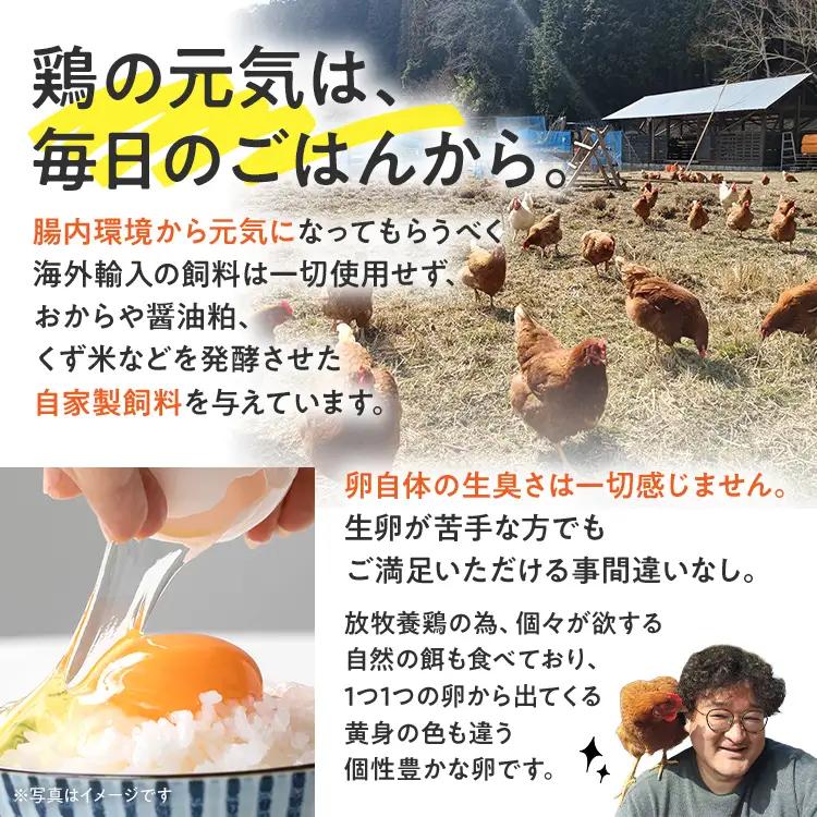 卵 定期便 6回 放牧養鶏卵 10個 「破損補償2個含」 6ヶ月間 若のレボリューション 卵 ※北海道・沖縄・離島は配送不可