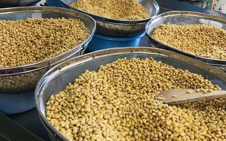 等覚寺の松会みそ 約800g 2個セット 味噌 みそ セット