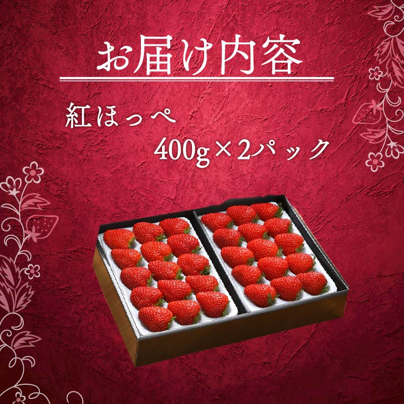 いちご 紅ほっぺ 計 800g 計 2 パック 高級 イチゴ 苺 セット べにほっぺ 2 パック 400g × 2 パック フルーツ 果物 ストロベリー 産地直送 国産 スイーツ デザート くだもの