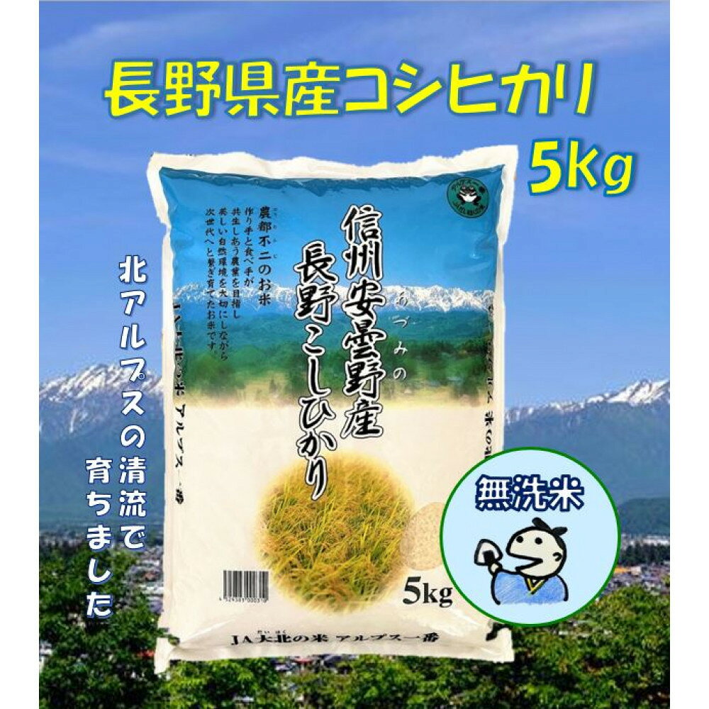 【ふるさと納税】米 無洗米 コシヒカリ 長野県産 5kg | 米 無洗米 コシヒカリ 長野県産 国産米 人気 おすすめ 白米 精米 新米 ごはん 和食 健康 保存食 ギフト 送料無料 長野県 大町市 ふるさと納税