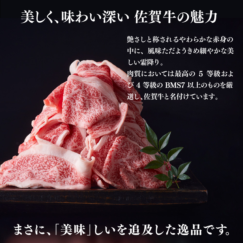 艶さし!【A4～A5】佐賀牛大判霜降り贅沢切り落とし 750g(250g×3P)【佐賀牛 切り落とし 霜降り 肩ロース 大判 一枚肉 薄切り 250g 小分け】(H112341)