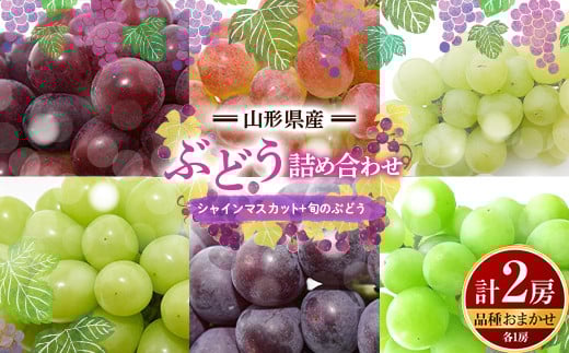 
            【先行予約2026年度発送】山形県産 ぶどう 詰め合わせ （シャインマスカット1房＋品種おまかせ１房 計2房）  マスカット ブドウ 葡萄 デザート フルーツ 果物 くだもの 果実 食品 山形県 FSY-0663
          