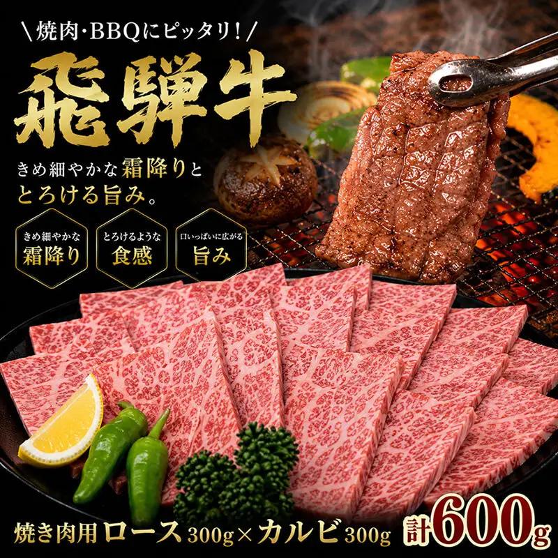 飛騨牛焼肉セット ロース カルビ A5 和牛 飛騨牛焼肉セット【計600g】