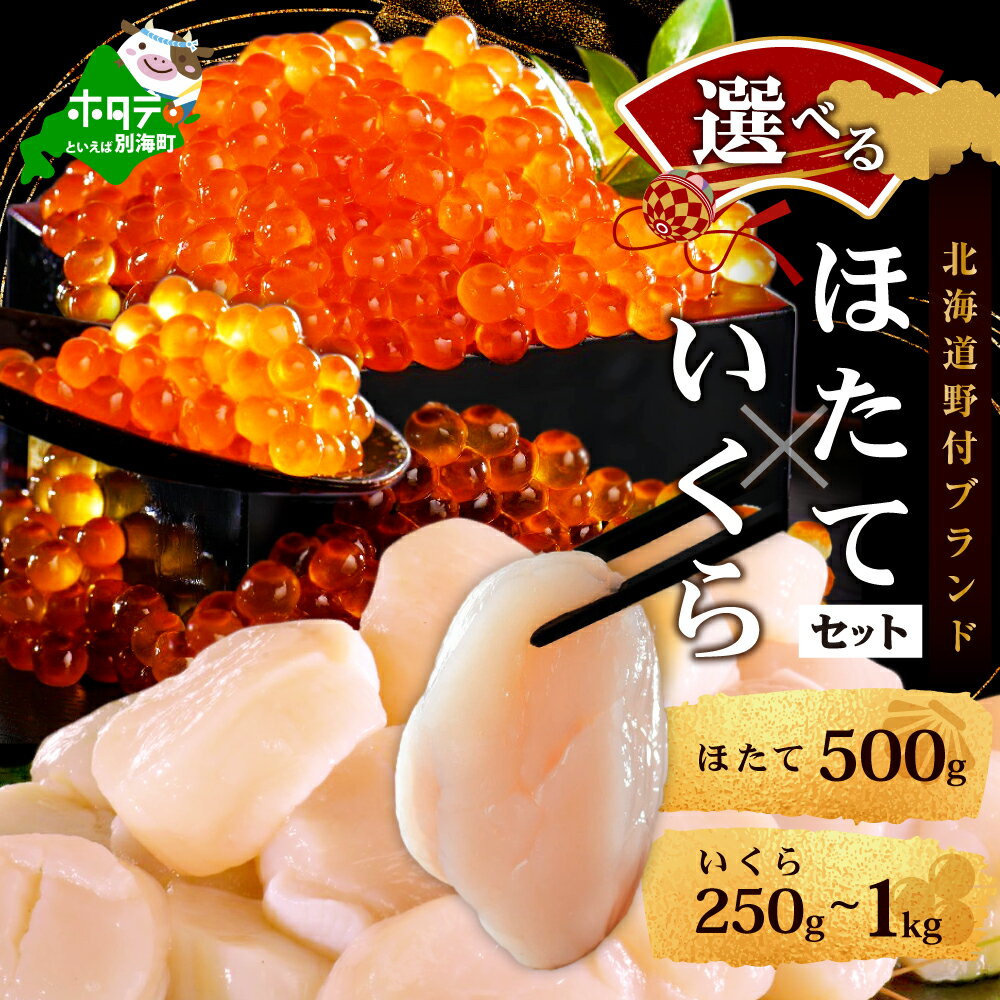 贅沢 海の幸！漁協 直送！本場「 北海道 」ホタテ 500g ＆ いくら 醤油漬け 250g 海鮮 セット！ 貝柱 イクラ 大粒 鮭 小分け 国産 鮭卵 海鮮丼