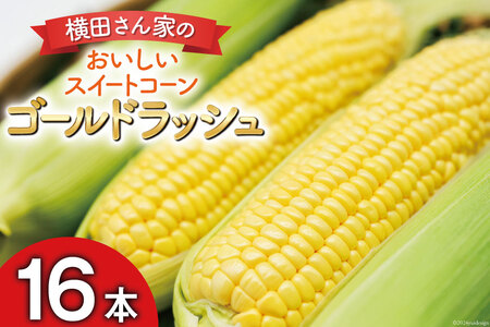 【期間限定発送】 とうもろこし 16本 横田さん家の美味しいスイートコーン ゴールドラッシュ [横田農園 長崎県 雲仙市 item2208] コーン トウモロコシ 野菜