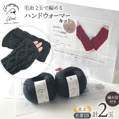 ふるさと納税 江南市 毛糸2玉で編めるケーブル模様のハンドウォーマーキット 18番色