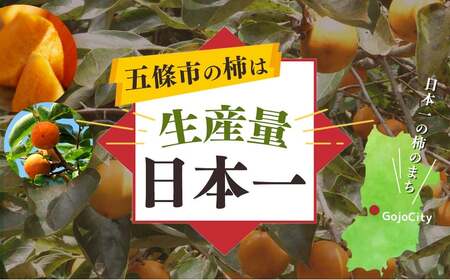 たねなし柿 約 5kg |  大人気 人気 柿 かき フルーツ 果物 奈良県 五條市 萩本農園 ギフト おすすめ 10月 発送 カキ 秋の味覚 旬 甘い 大容量 農家直送 産地直送 グルメ お取り寄せ