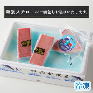 a20-427　天然南鮪　中トロ・赤身　刺身二種盛り