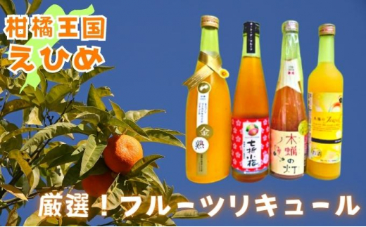 
[№5310-0167]愛媛県産「果実系リキュール」飲み比べセット
