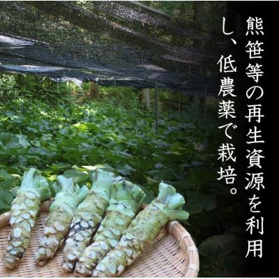 ふるさと納税 吉賀町 根わさび 5本(真空パック入り) |  | 02