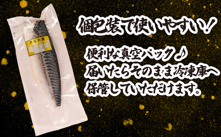 適塩さば 純米酒仕込 真空 個包装 6枚 さば さば さば さば さば  エドノフーズ